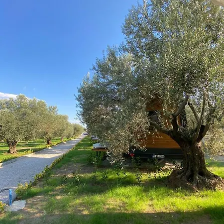 بيت للعطل Gulet Tiny House *